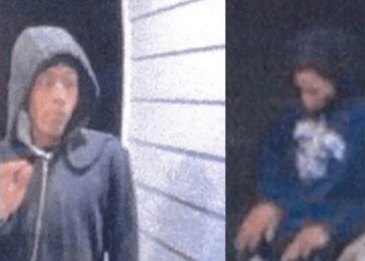 mother identifies sons