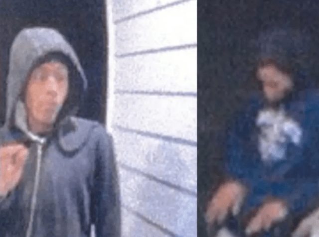 mother identifies sons