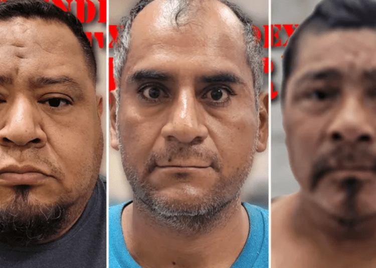 Border patrol nabs