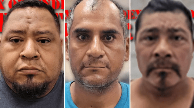 Border patrol nabs