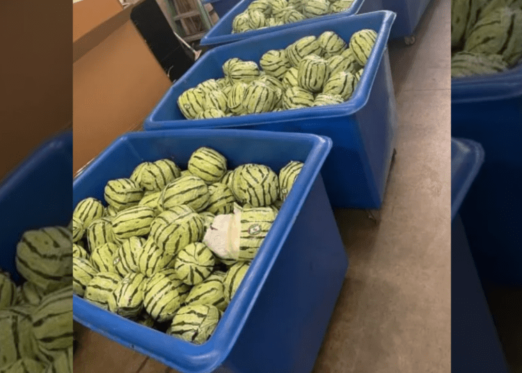 melons