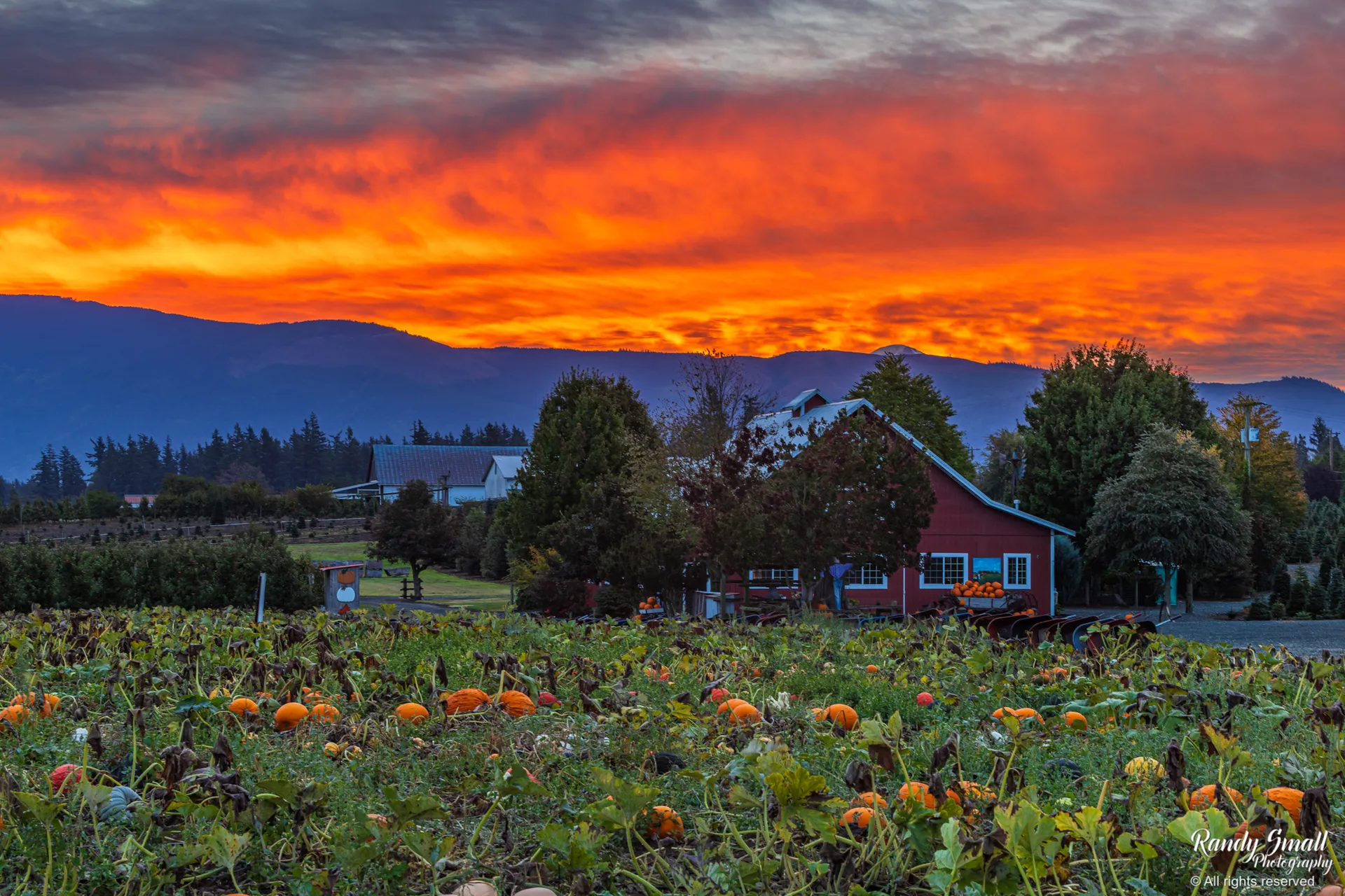 Sunrise at Stoney Ridge