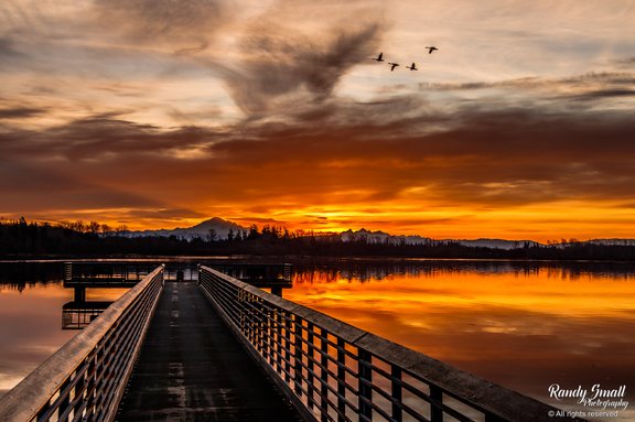 IMG_3950-2 Randy Small