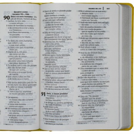 7899938427736 ntlh063lg am bib lt grande letcp dura lettering amarela 04