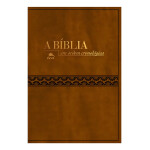 D_NQ_NP_2X_909380-MLA82448886393_022025-F