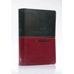 biblia_thompson_aec_letra_grande_luxo_verde_e_vinho_6672_1_42e973452b77923c01b2cfce9cb8b1b3