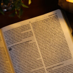 Biblia_Sagrada_Ser_Mae_NAA_Letra_Grande_Capa_Tecido (1)