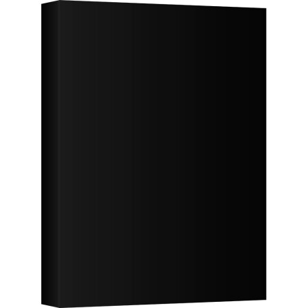 Livro Registro Profissao de fe **