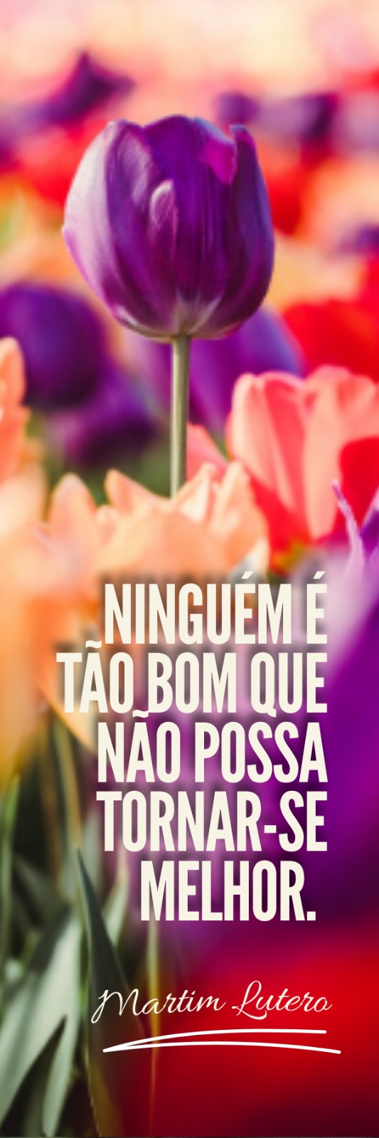 WhatsApp Image 2026-07-22 at 15.35.55
