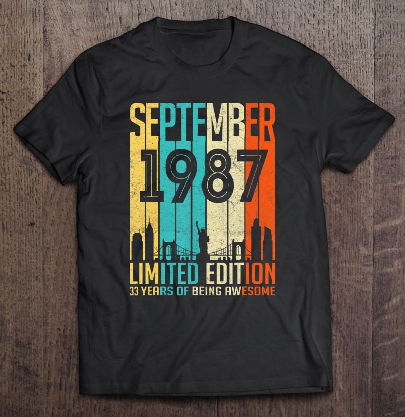 1987 Birthday Shirt Vintage 1987 T-shirt Funny 33rd Birthday Gift Tee Shirt