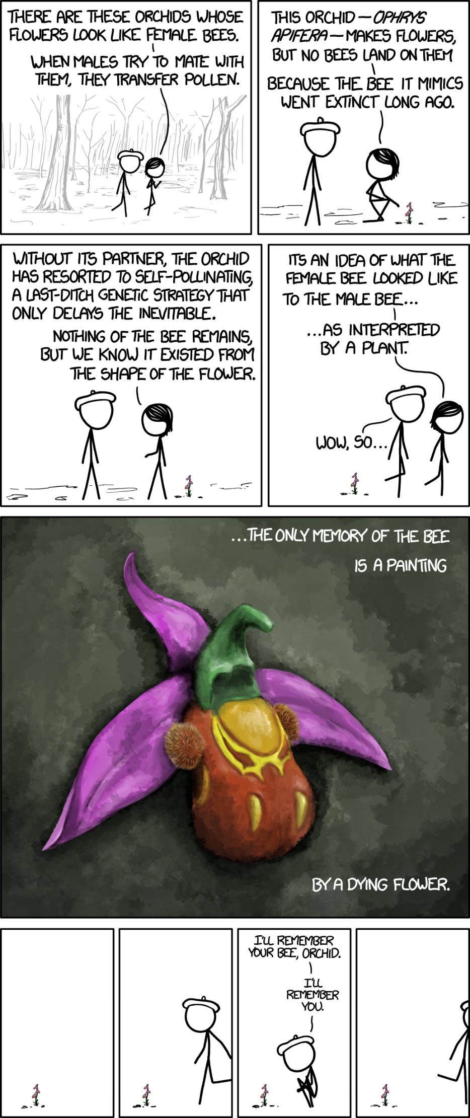 xkcd comic explaining that there are orchids whose flowers look like female bees, but the bee who the flower was mimicking went extinct.

"The only memory of the bee is a painting by a dying flower"