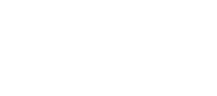 LJ Immobilier