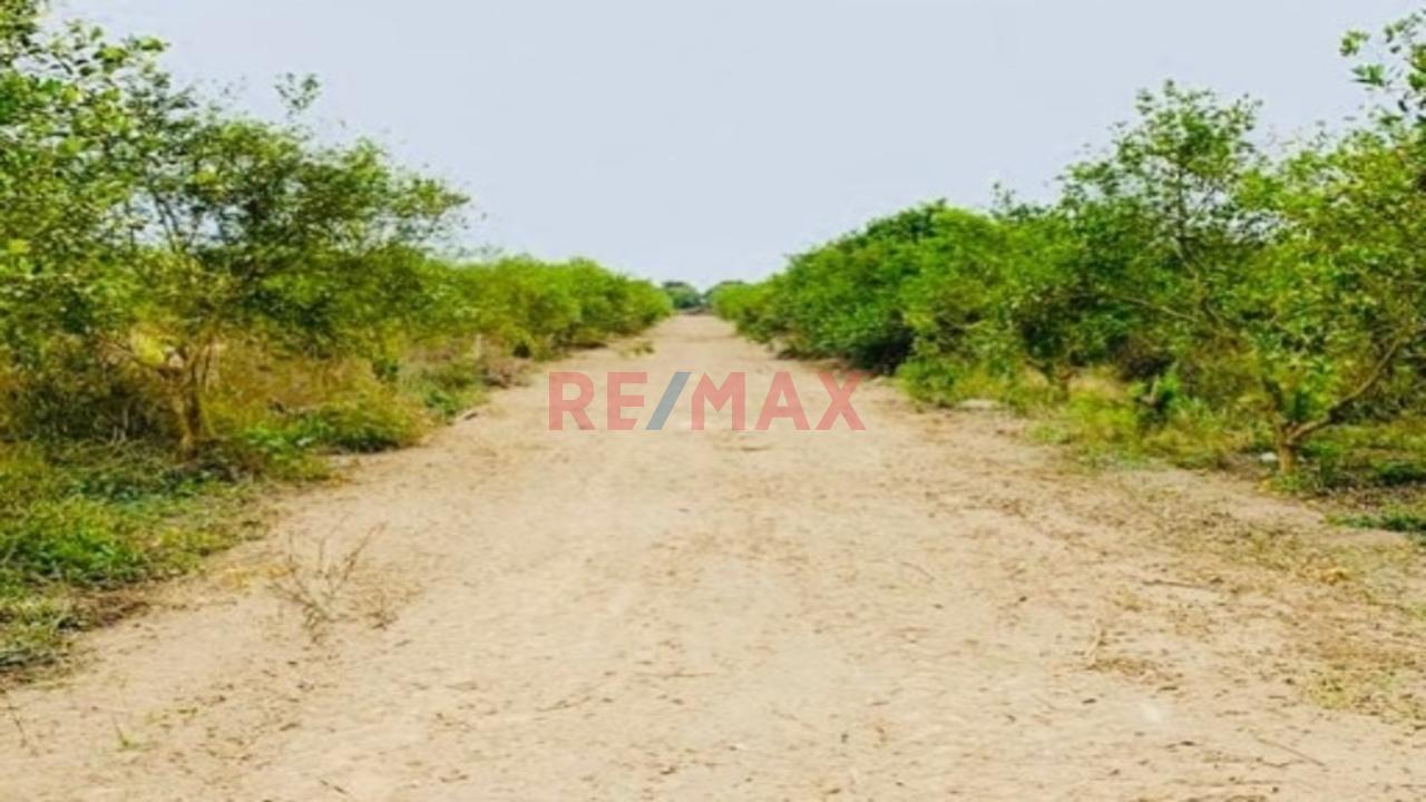 Ocasion Se Vende Terreno Para Casa De Campo En Chinca Baja — foto 2