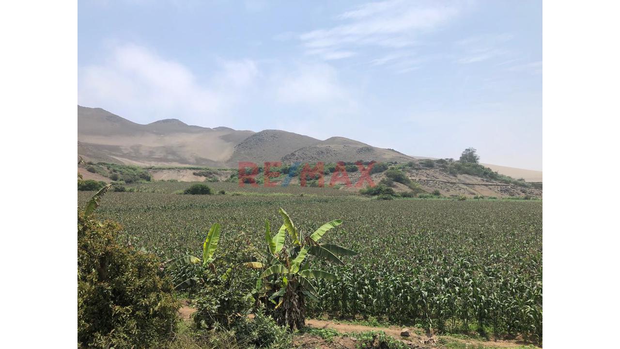 Terreno En Venta En El Hatillo, Chancay_87.6Ha - 11