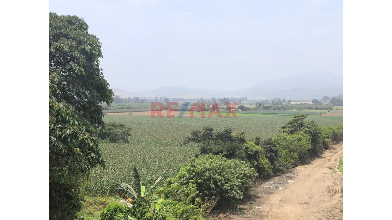 Terreno En Venta En El Hatillo, Chancay_87.6Ha - 18
