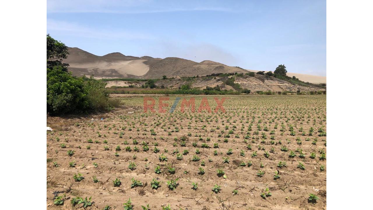 Terreno En Venta En El Hatillo, Chancay_87.6Ha - 15