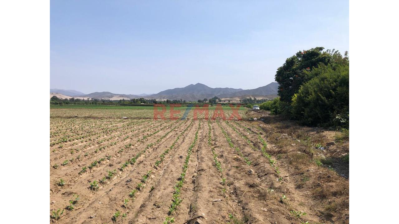 Terreno En Venta En El Hatillo, Chancay_87.6Ha - 16