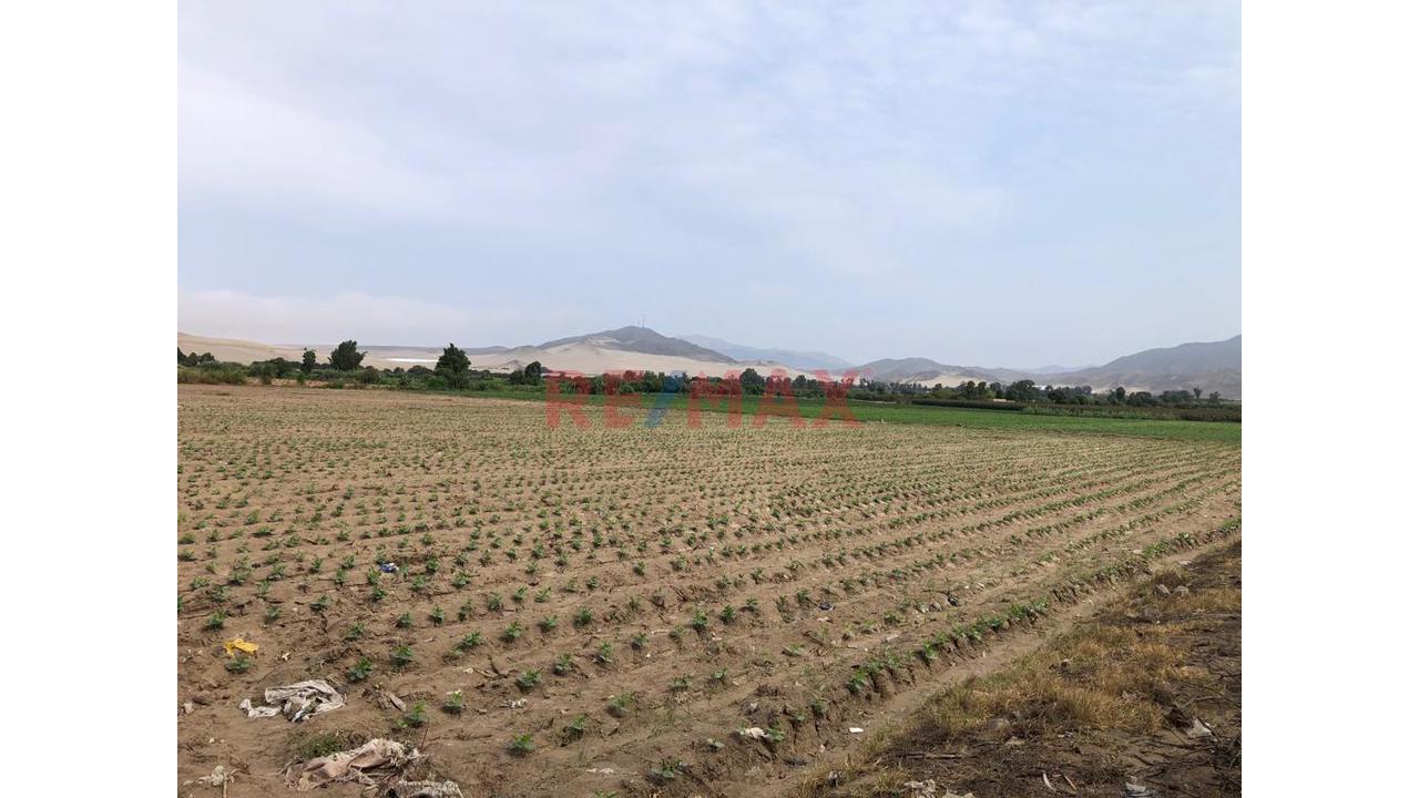 Terreno En Venta En El Hatillo, Chancay_87.6Ha - 10