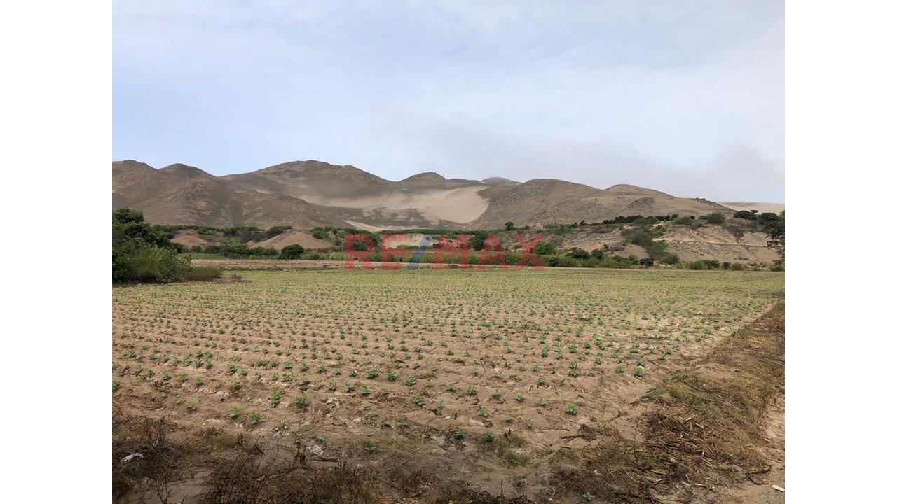 Terreno En Venta En El Hatillo, Chancay_87.6Ha - 12
