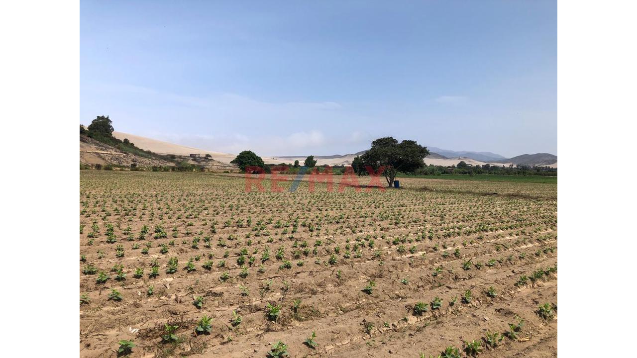 Terreno En Venta En El Hatillo, Chancay_87.6Ha - 14