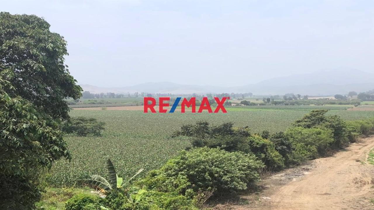 Terreno En Venta En El Hatillo, Chancay_87.6Ha - 1