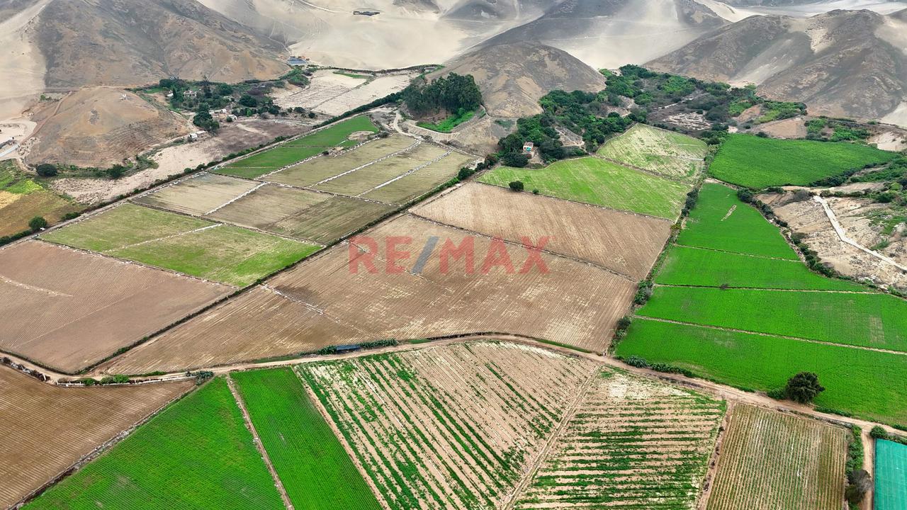 Terreno En Venta En El Hatillo, Chancay_87.6Ha - 8