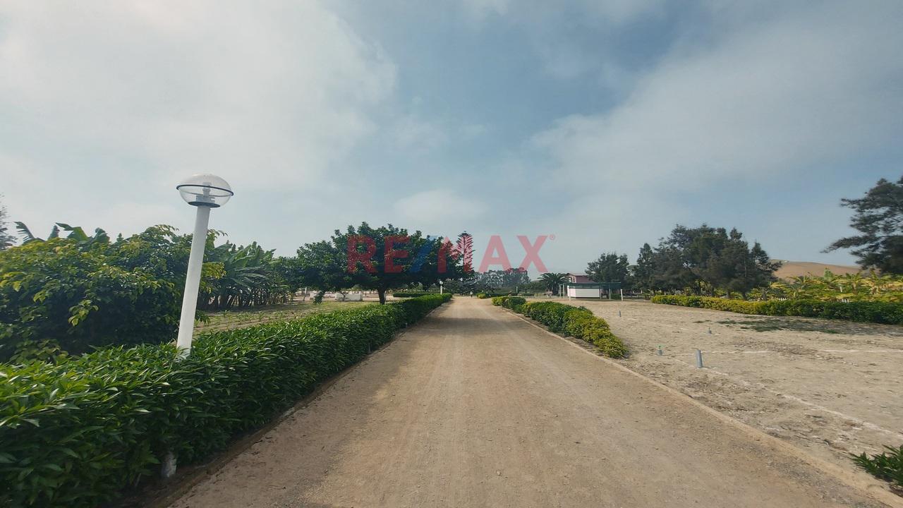 Venta De Lotes En Condominio De Campo Mala Cañete — foto 9