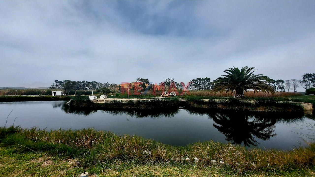 Venta De Lotes En Condominio De Campo Mala Cañete — foto 5