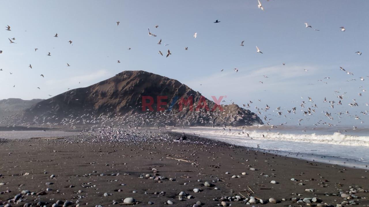 Venta De Terreno En Condominio Costa Del Campo Km 84 Sur (Frente Al Mar) — foto 12
