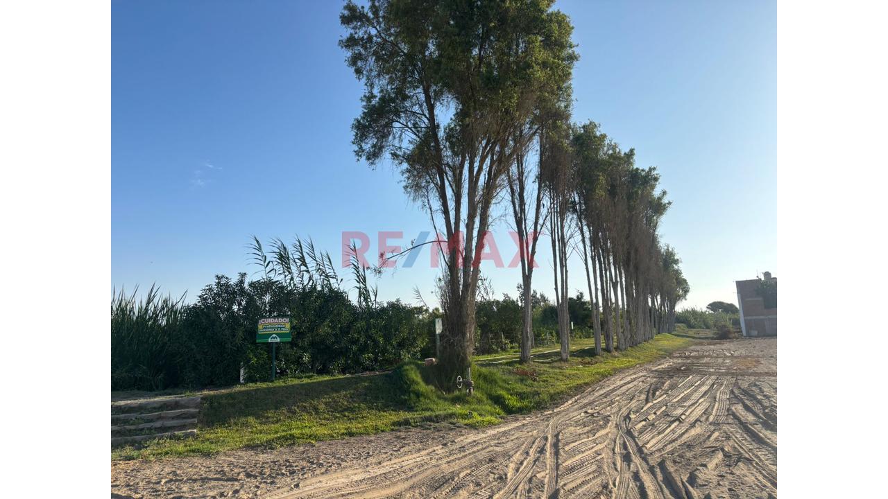 Terreno En Venta – En Menorca Pisco - 9