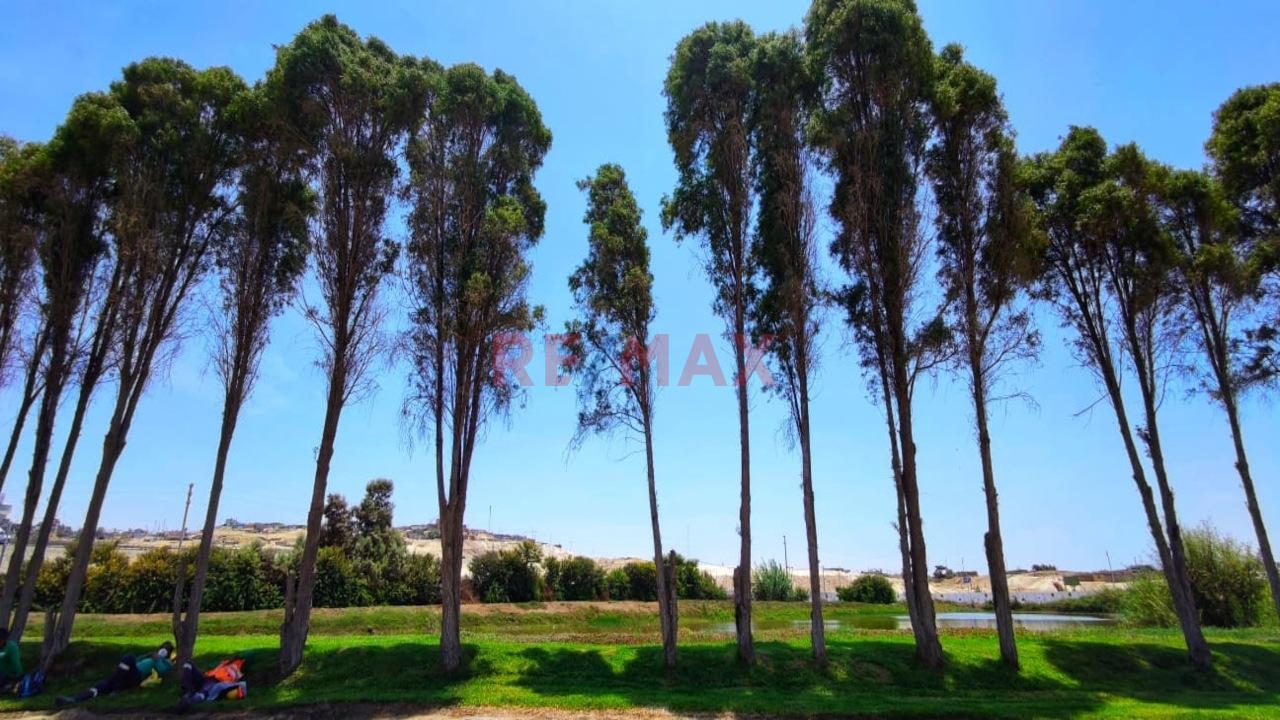 Terreno En Venta – En Menorca Pisco - 12