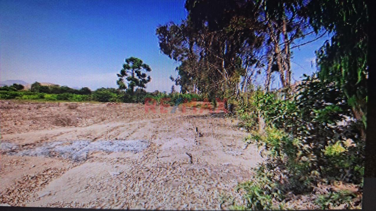 Se Vende Predio Rural “La Ponderosa” Distrito De “El Carmen” Provincia De “Chincha” Departamento De Ica - 5