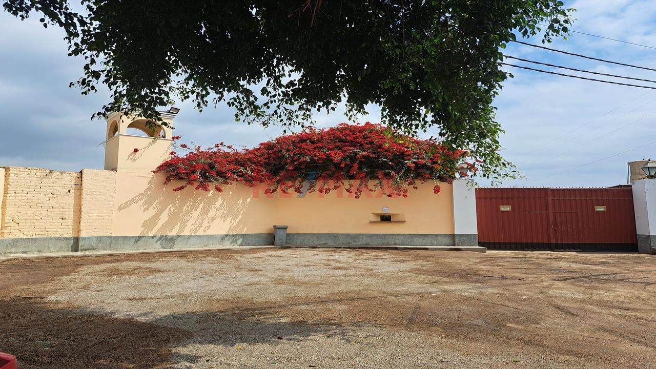 Se Vende Predio Rural “La Ponderosa” Distrito De “El Carmen” Provincia De “Chincha” Departamento De Ica - 6