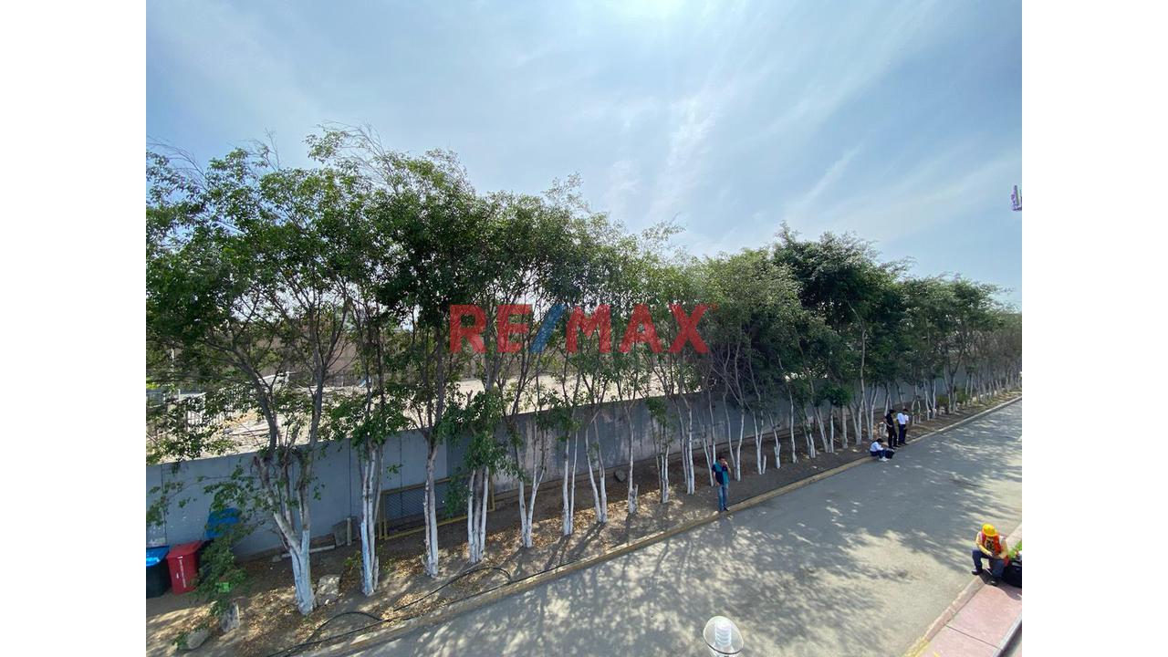 Se Vende Estratégico Terreno Industrial Con Un Area De 4500 Mt - Frente Al Aereopuerto Internacional Jorge Chavez Callao - 13