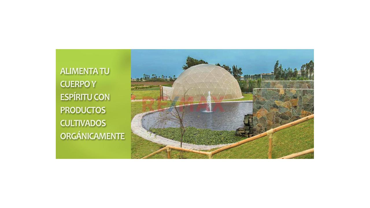 Exclusivo Terreno En Condominio 1,001.80 M2. Cerro Azul – Cañete. - 16