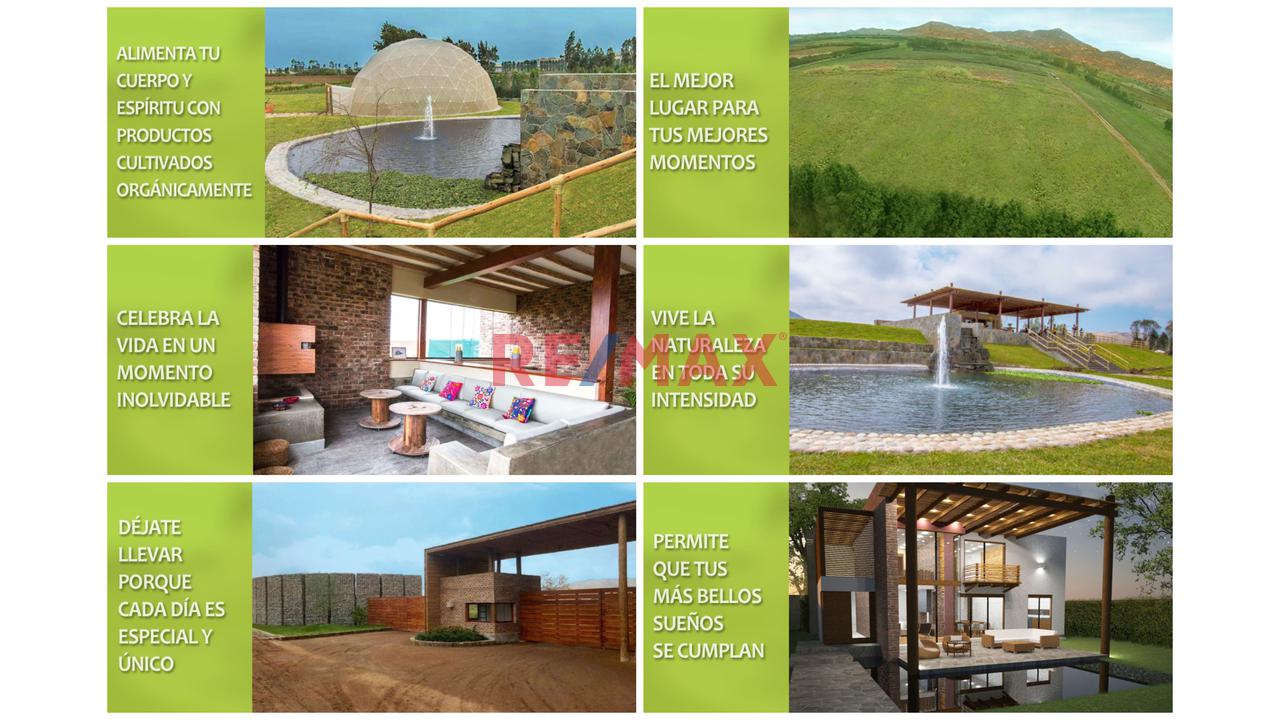 Exclusivo Terreno En Condominio 1,001.80 M2. Cerro Azul – Cañete. - 19