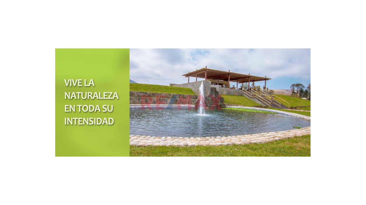 Exclusivo Terreno En Condominio 1,001.80 M2. Cerro Azul – Cañete. - 18