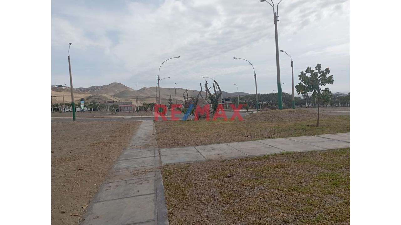 Terreno De Playa — foto 4