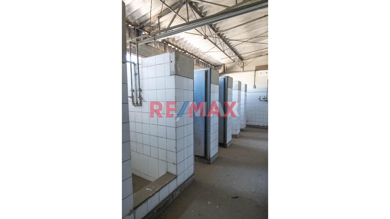 Alquiler De Amplio Local Industrial En El Cercado De Lima De Área 670 M2 - 10