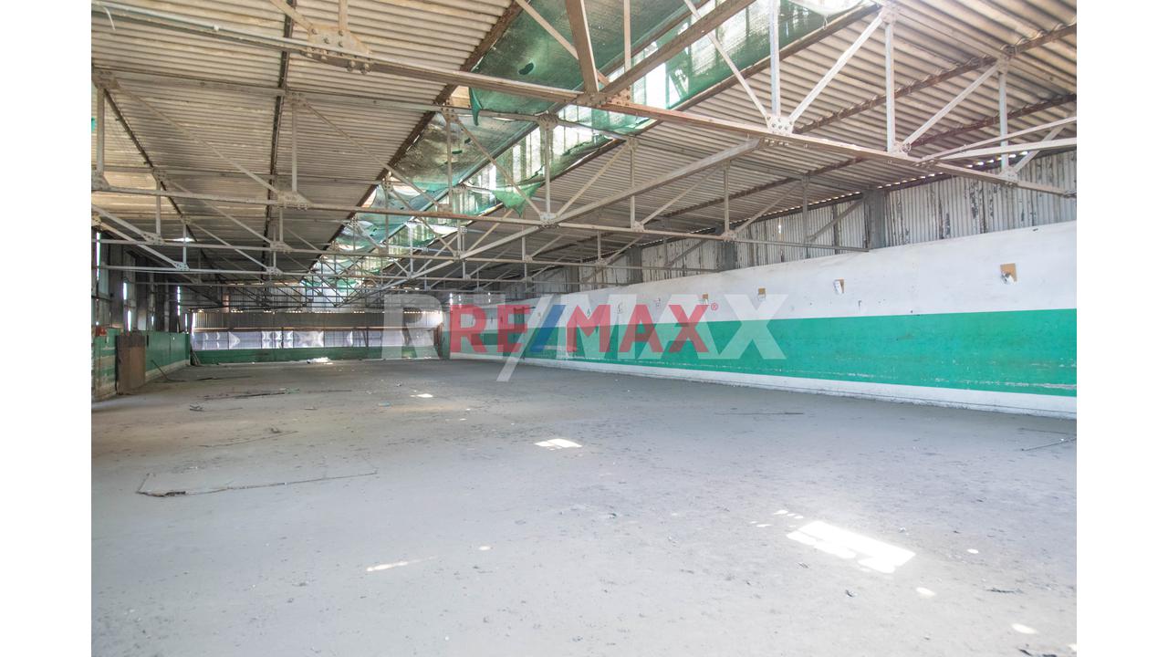 Alquiler De Amplio Local Industrial En El Cercado De Lima De Área 670 M2 - 2