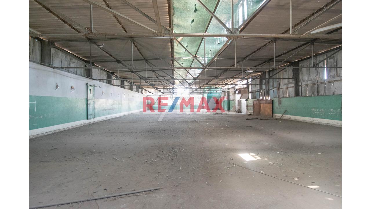 Alquiler De Amplio Local Industrial En El Cercado De Lima De Área 670 M2 - 5