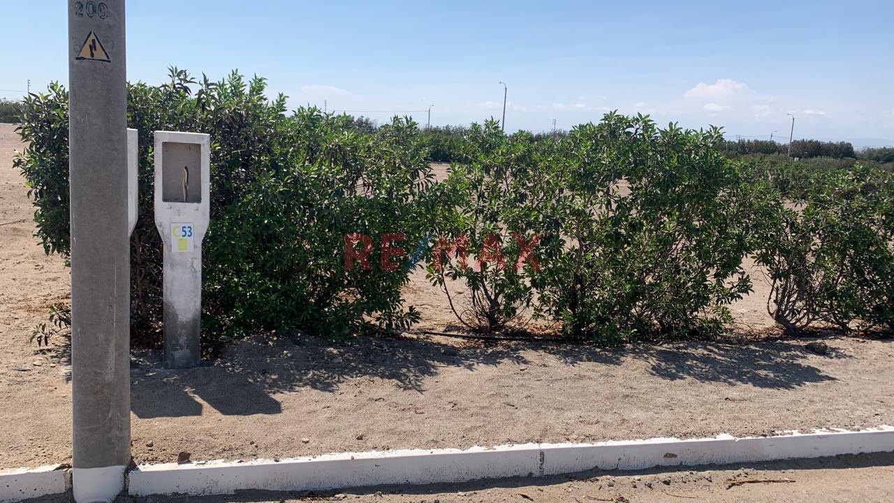 Venta Terreno Urbano En Casa Hacienda La Joya (1Era Etapa) - 6