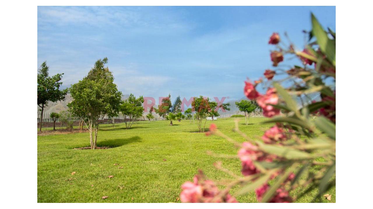 Venta De Lotes En Coayllo La Sierra De Asia Desde 80$ M2 — foto 6