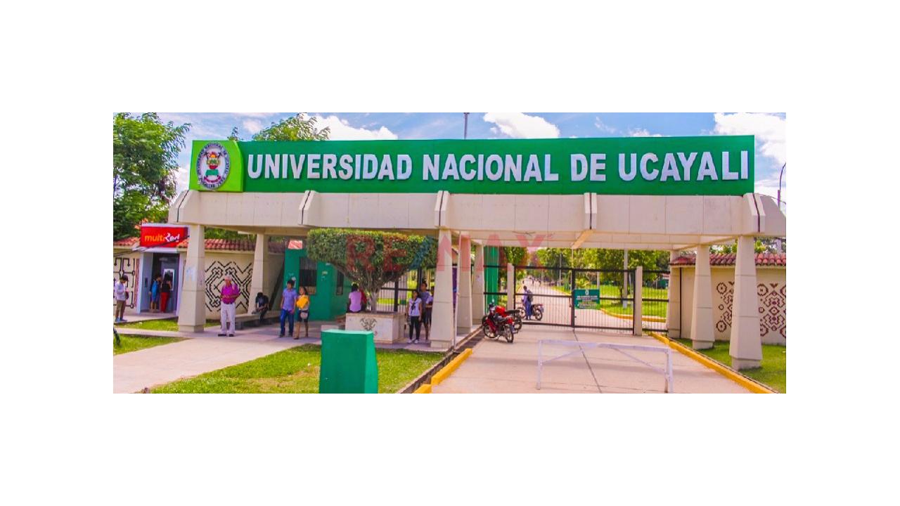 Terreno En Esquina 600M2 | Independizado - Sunarp | A 15 Minutos De Open Plaza, Real Plaza Y Aeropuerto Pucallpa - 8