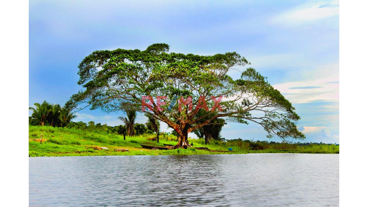Terreno 600M2 Independizado - Sunarp | A 15 Minutos De Open Plaza, Real Plaza Y Aeropuerto Pucallpa - 3