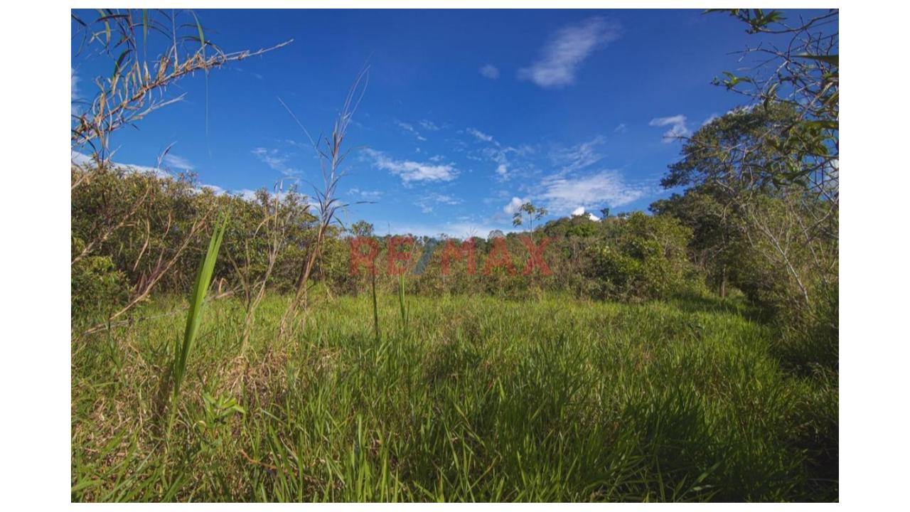 Vendo Terreno De 9 Hectáreas Con 444M2 En El Mismo Moyobamba - 12