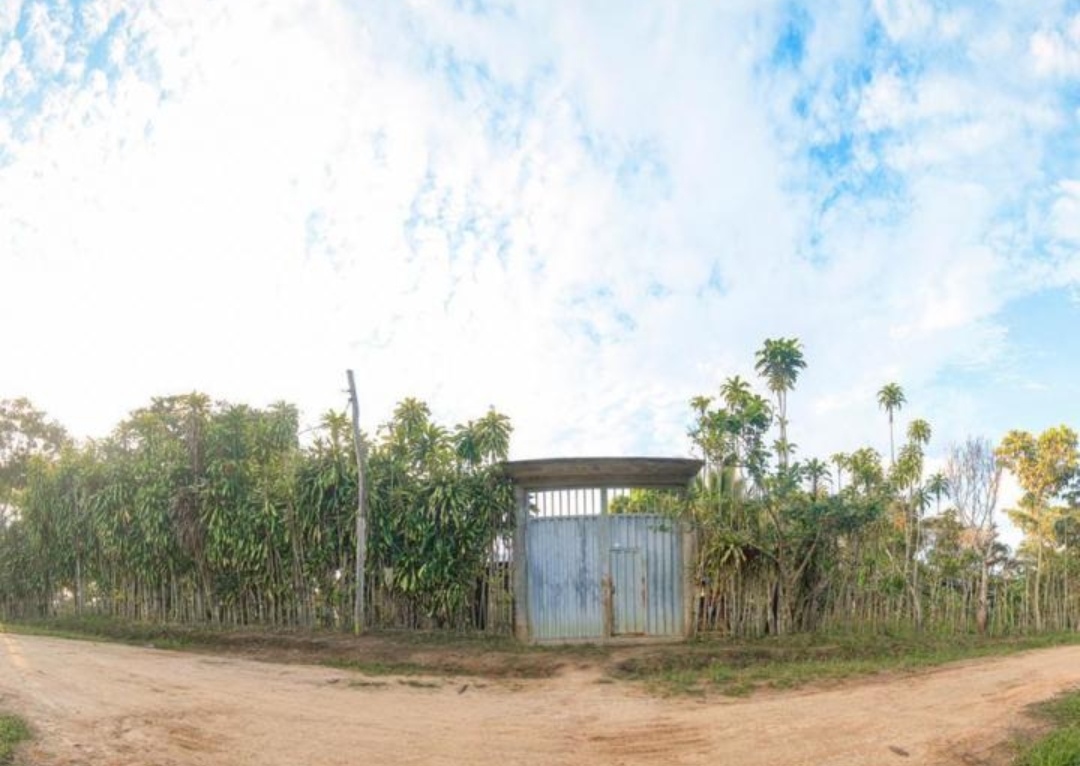 Vendo Terreno De 9 Hectáreas Con 444M2 En El Mismo Moyobamba - 1