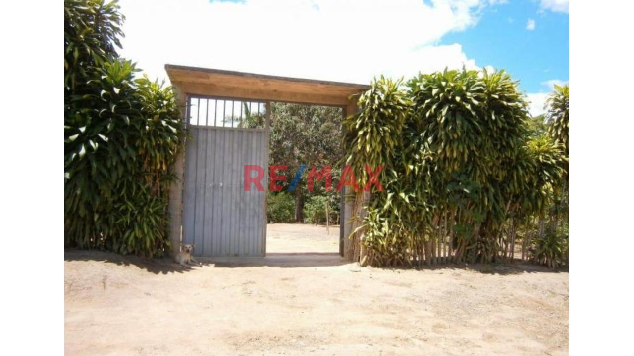 Vendo Terreno De 9 Hectáreas Con 444M2 En El Mismo Moyobamba - 3