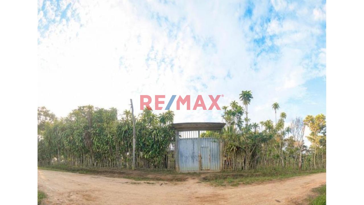 Vendo Terreno De 9 Hectáreas Con 444M2 En El Mismo Moyobamba - 7
