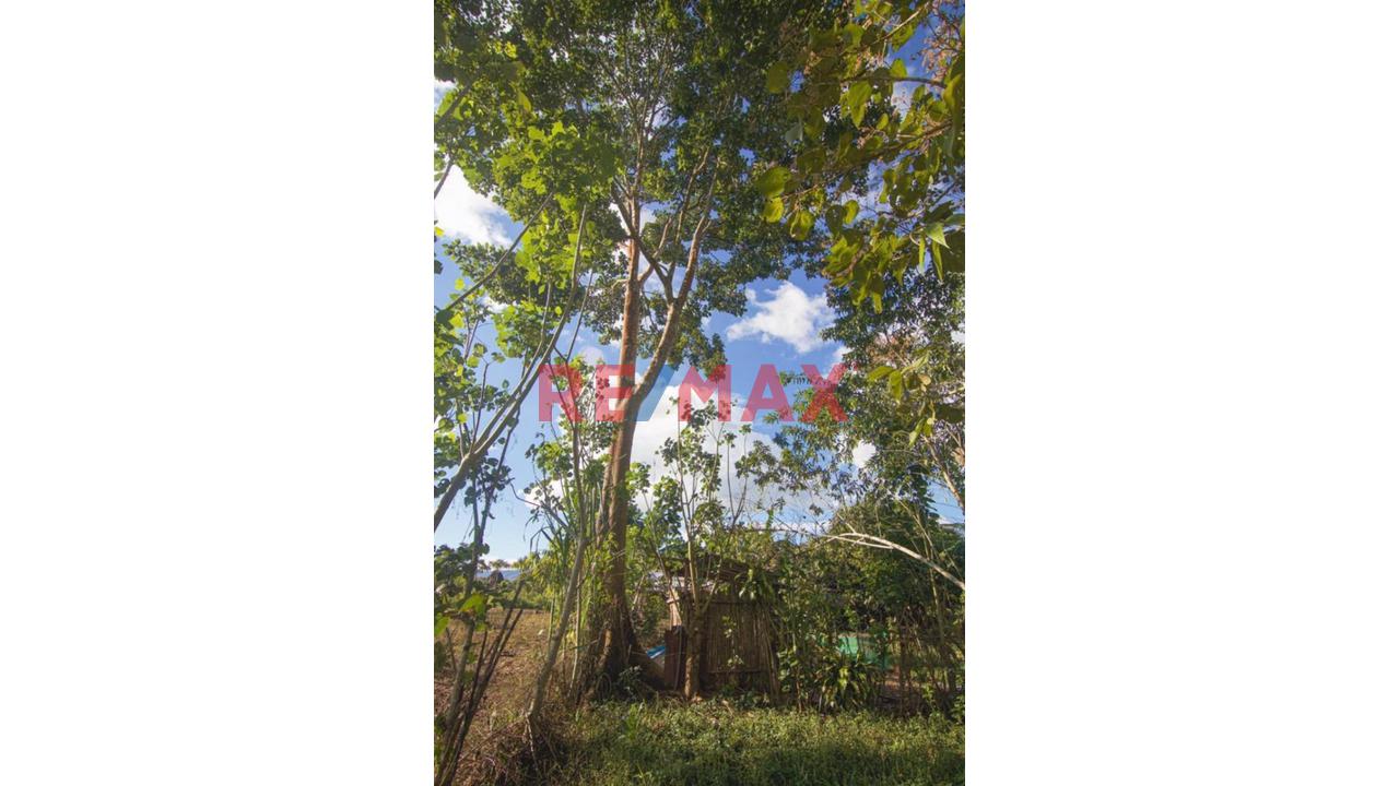 Vendo Terreno De 9 Hectáreas Con 444M2 En El Mismo Moyobamba - 8
